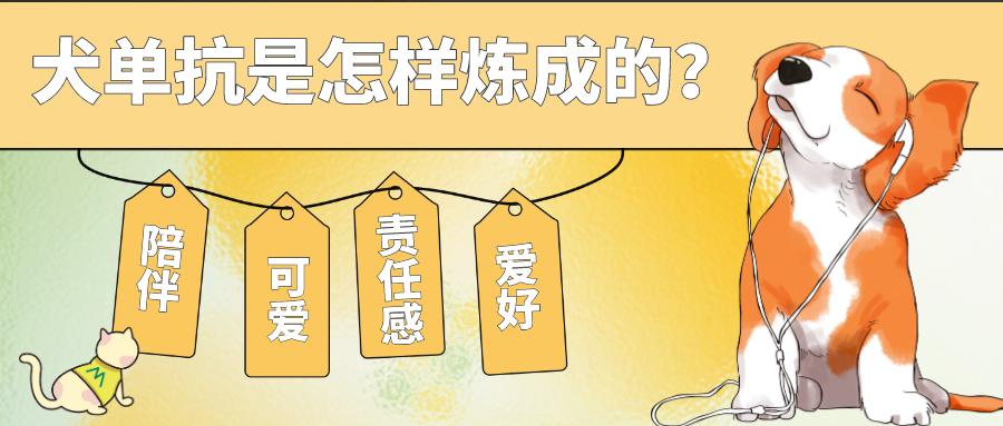首款犬的單克隆抗體獲批！犬單抗是怎樣煉成的？