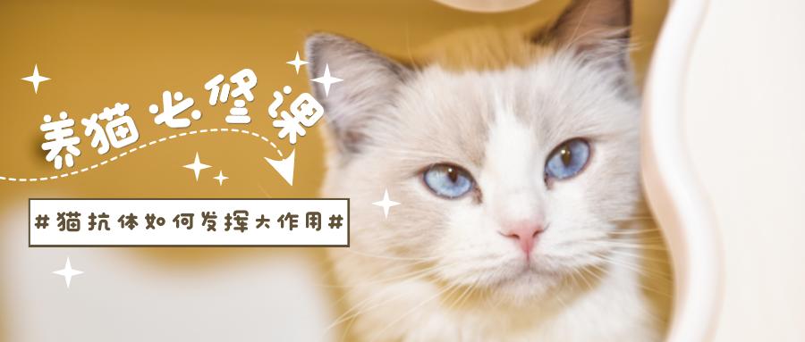 鏟屎官們看過(guò)來(lái)！貓抗體如何發(fā)揮大作用