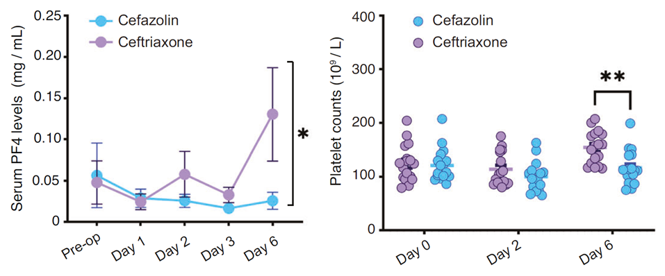 Ceftriaxone抑制C3上調(diào)、維持PF4水平，發(fā)揮認知保護作用