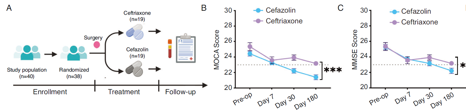 Ceftriaxone顯著降低老年患者術(shù)后PNCD發(fā)生率，改善認知功能。